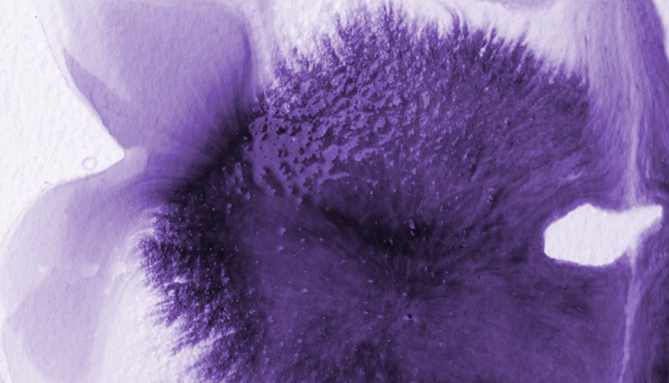 medium liquitex flow aid swatch text